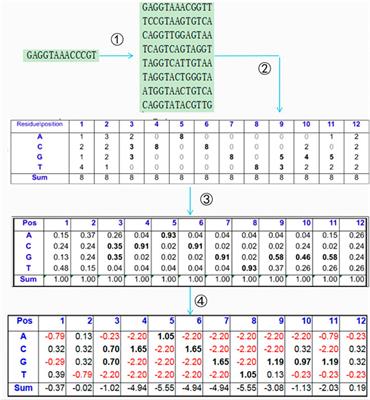 Prediction of protein secondary structure based on an improved channel attention and multiscale convolution module